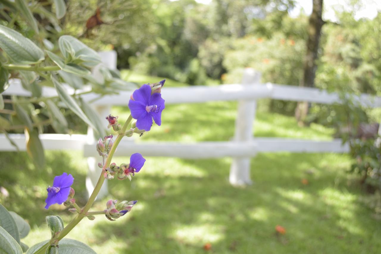 Hotel Fazenda Fonte Colina Verde Sao Pedro  Eksteriør billede